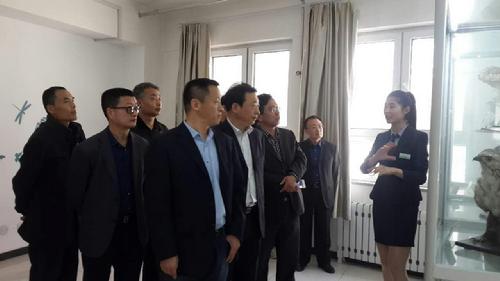 第八段后